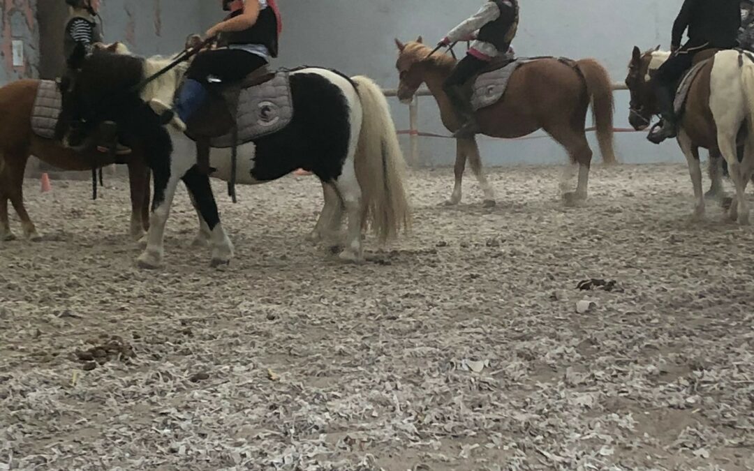 Poney 6-8 ans