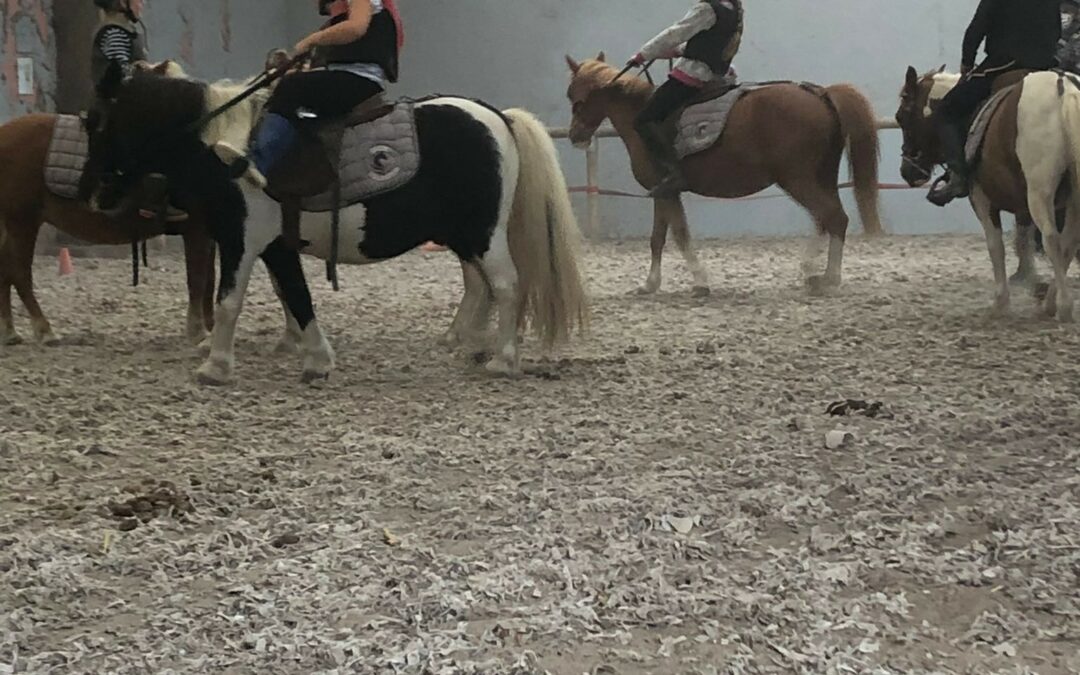 Stage poney 6-9 ans