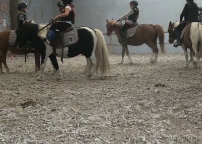 Poney 6-8 ans