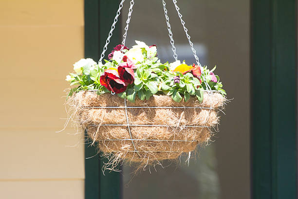 Pot hung in public