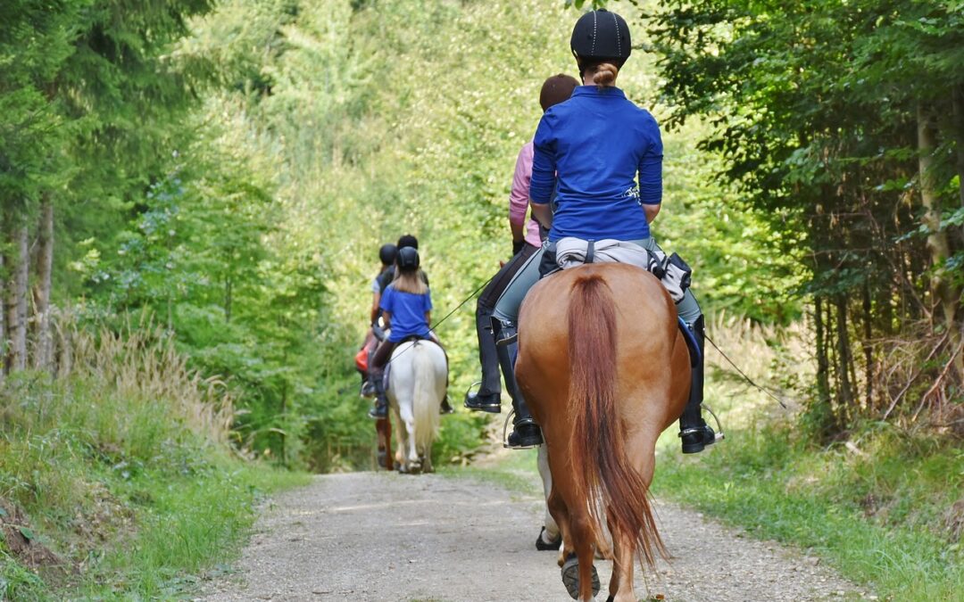 Equitation 9-13 ans