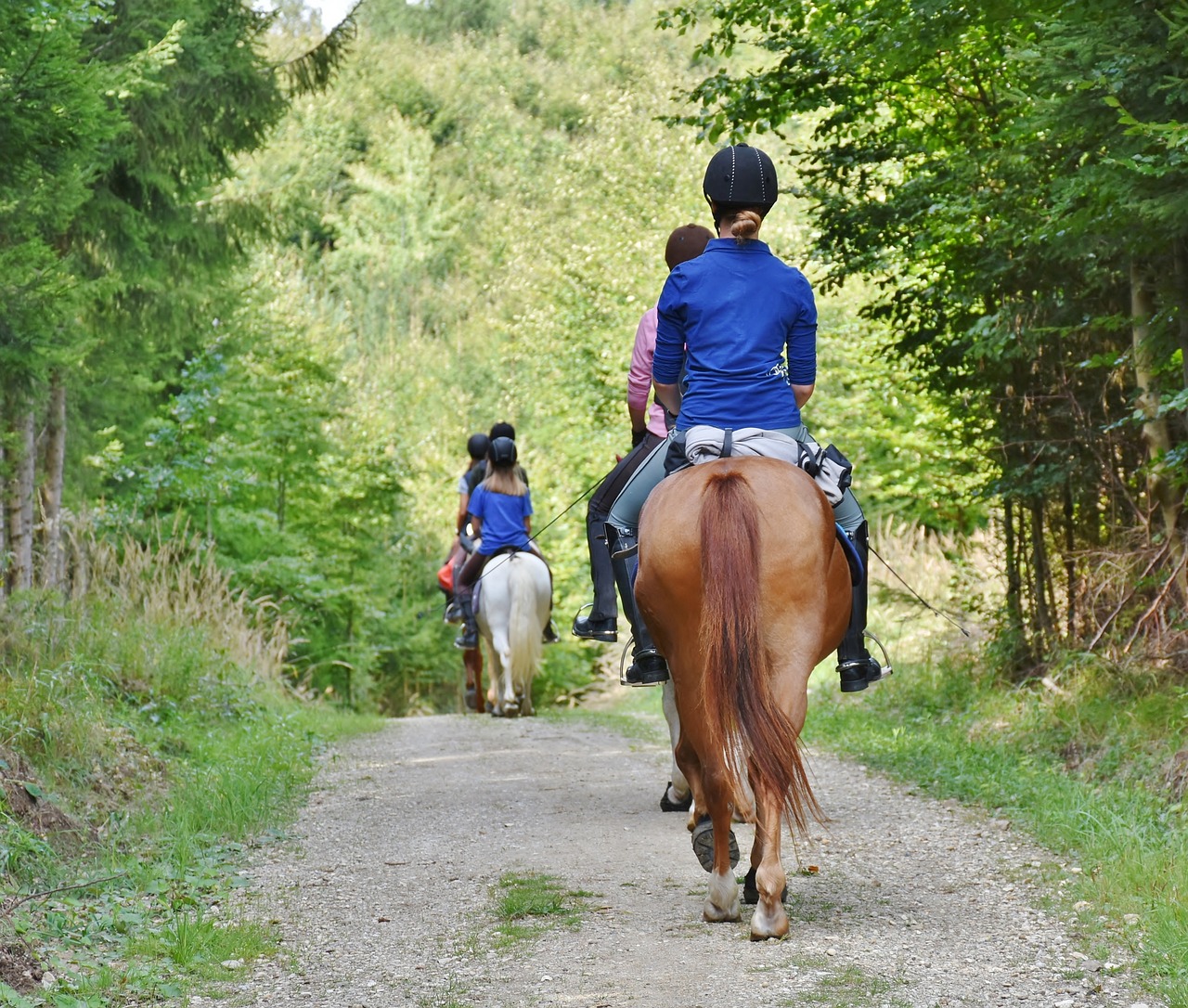poney