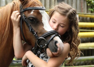 Poney 6-8 ans