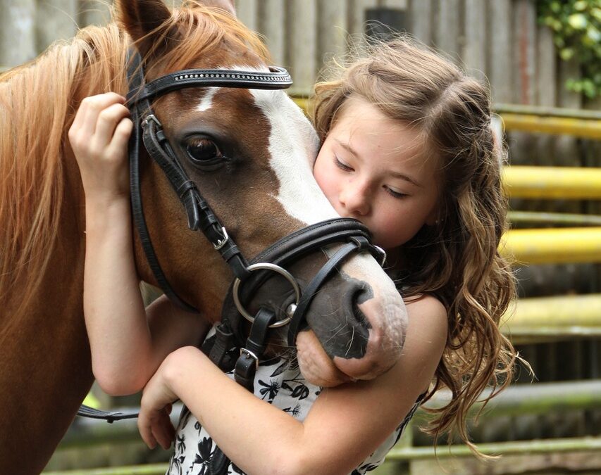 Poney 6-8 ans