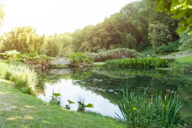 Visite guidée du jardin botanique du Stang Alar