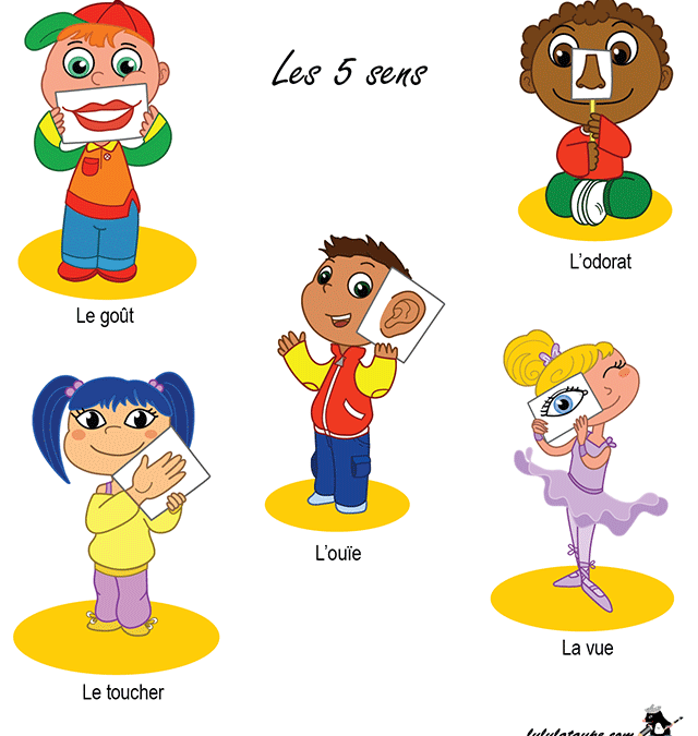 Les 5 sens 3-5 ans