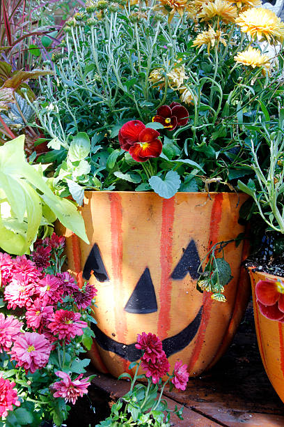 Jardin d’automne 6-9 ans