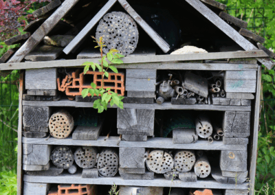 Terre et insectes | 3-5 ans